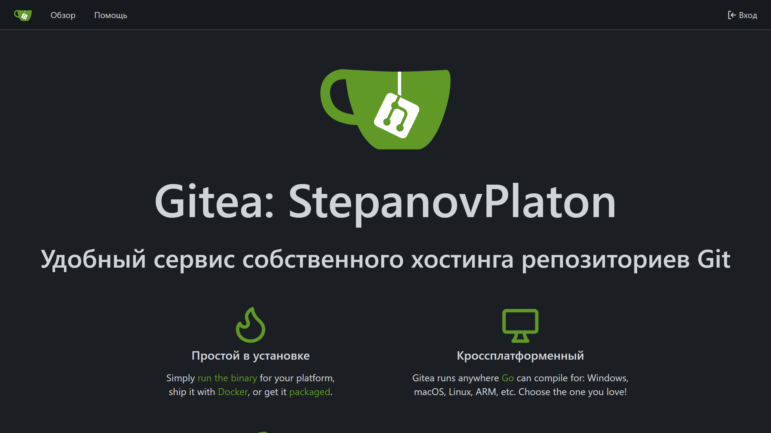 Gitea Interface