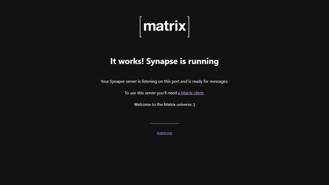 Synapse Interface